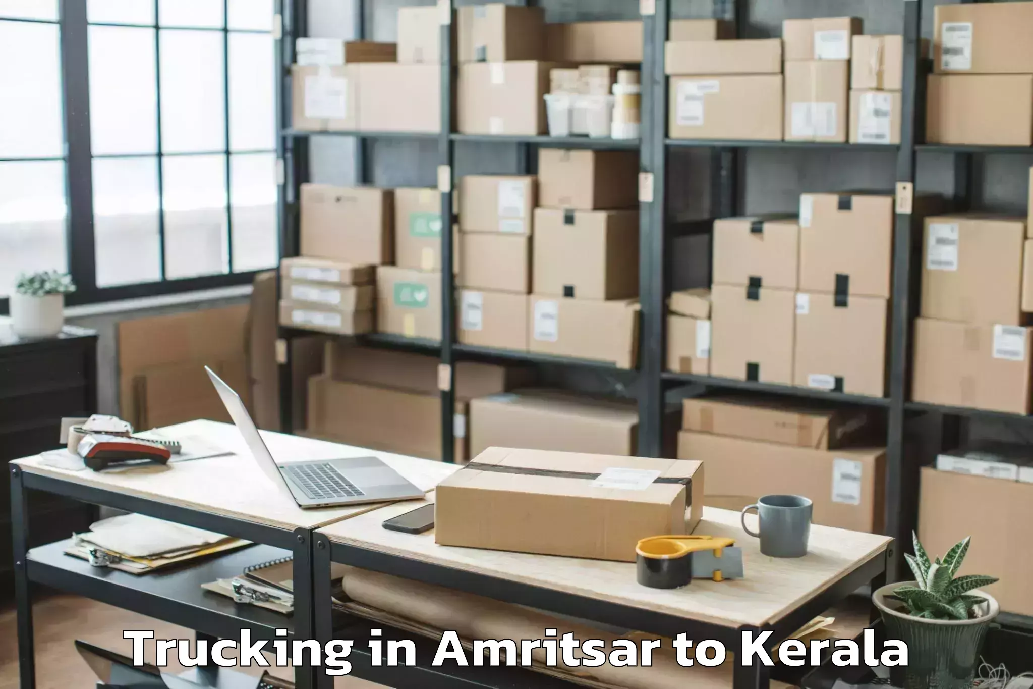 Hassle-Free Amritsar to Mall Of Joy Thrissur Trucking